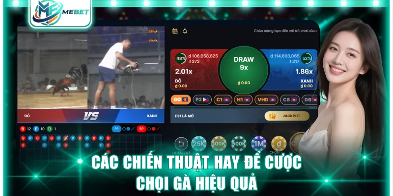Các chiến thuật hay để cược chọi gà hiệu quả