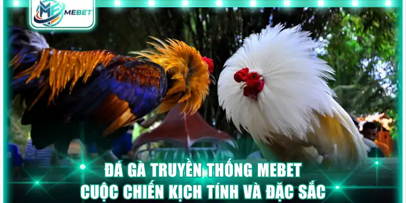 Đá gà truyền thống