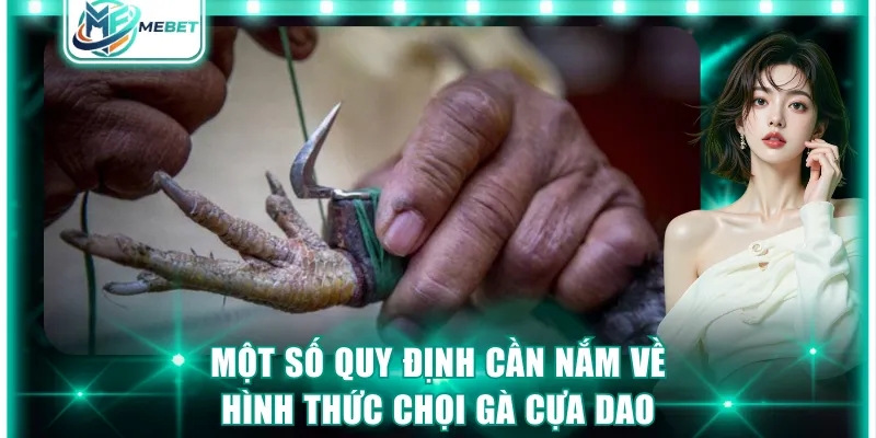 Một số quy định cần nắm về hình thức chọi gà cựa dao